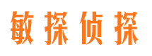 岐山侦探公司